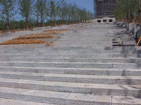 點擊查看詳細信息<br>標題：臺階石 閱讀次數(shù)：3012