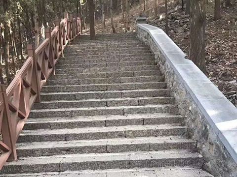 點擊查看詳細信息<br>標題：臺階石 閱讀次數(shù)：3158